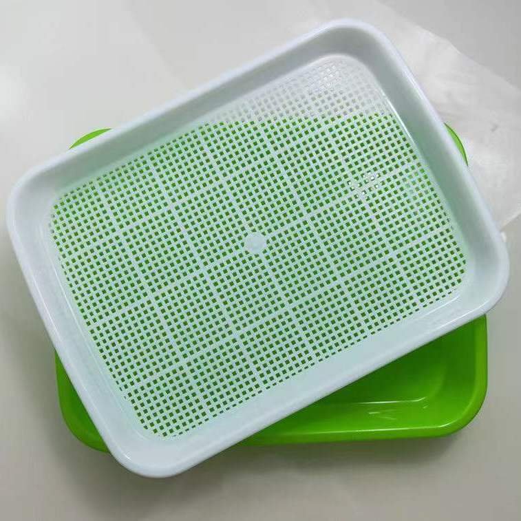 Seed Sprouter Tray
