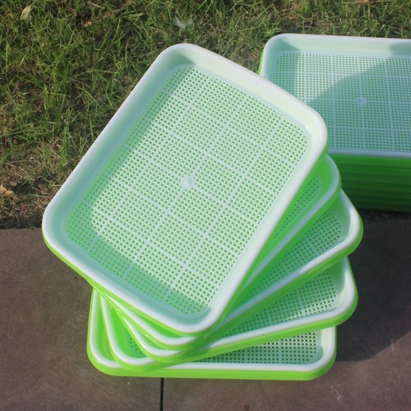 Seed Sprouter Tray - Image 6