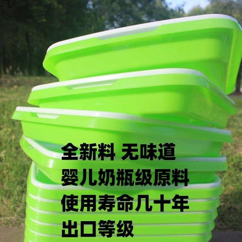 Seed Sprouter Tray - Image 8