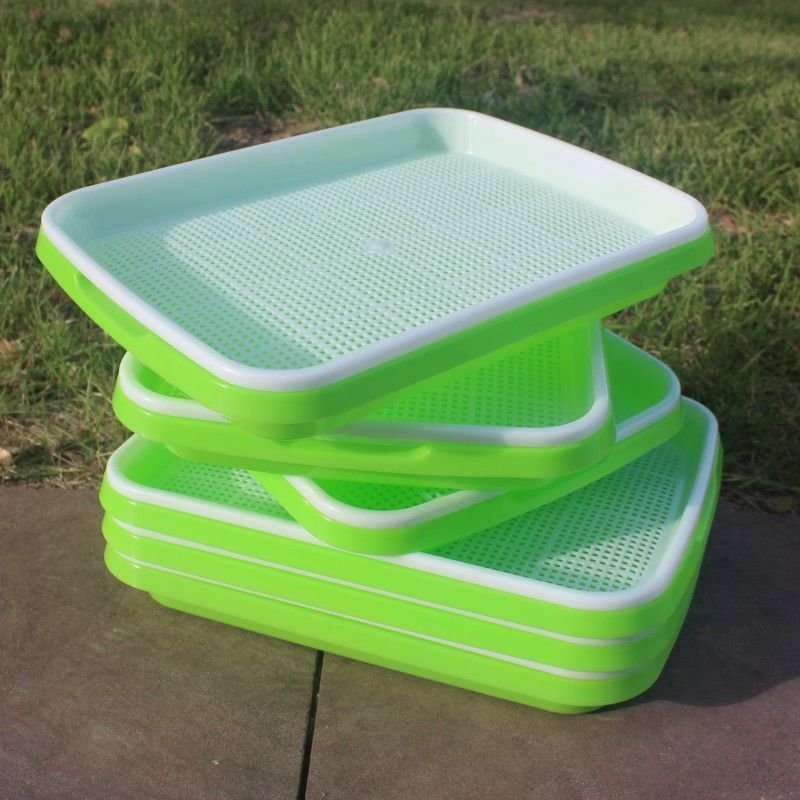 Seed Sprouter Tray - Image 10