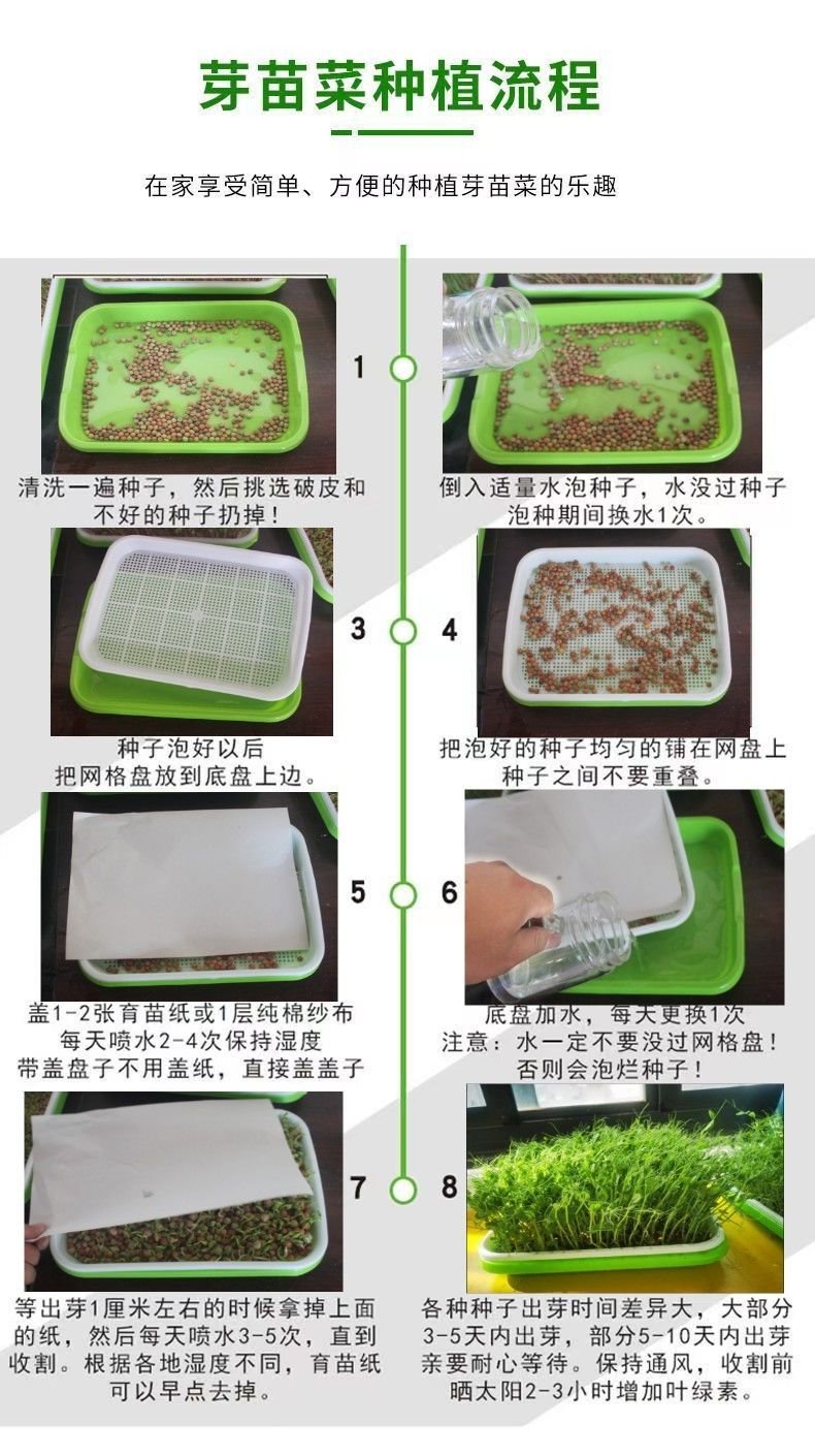 Seed Sprouter Tray - Image 13