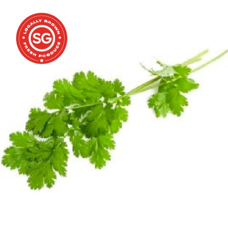 Coriander (35g)