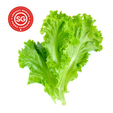 Green Lettuce (150g)