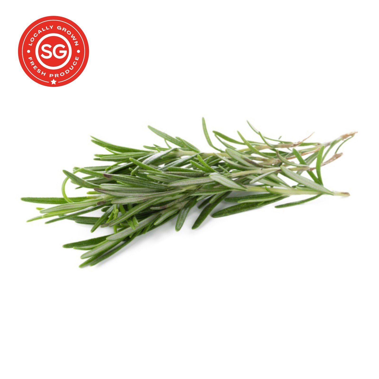 Rosemary (20g)
