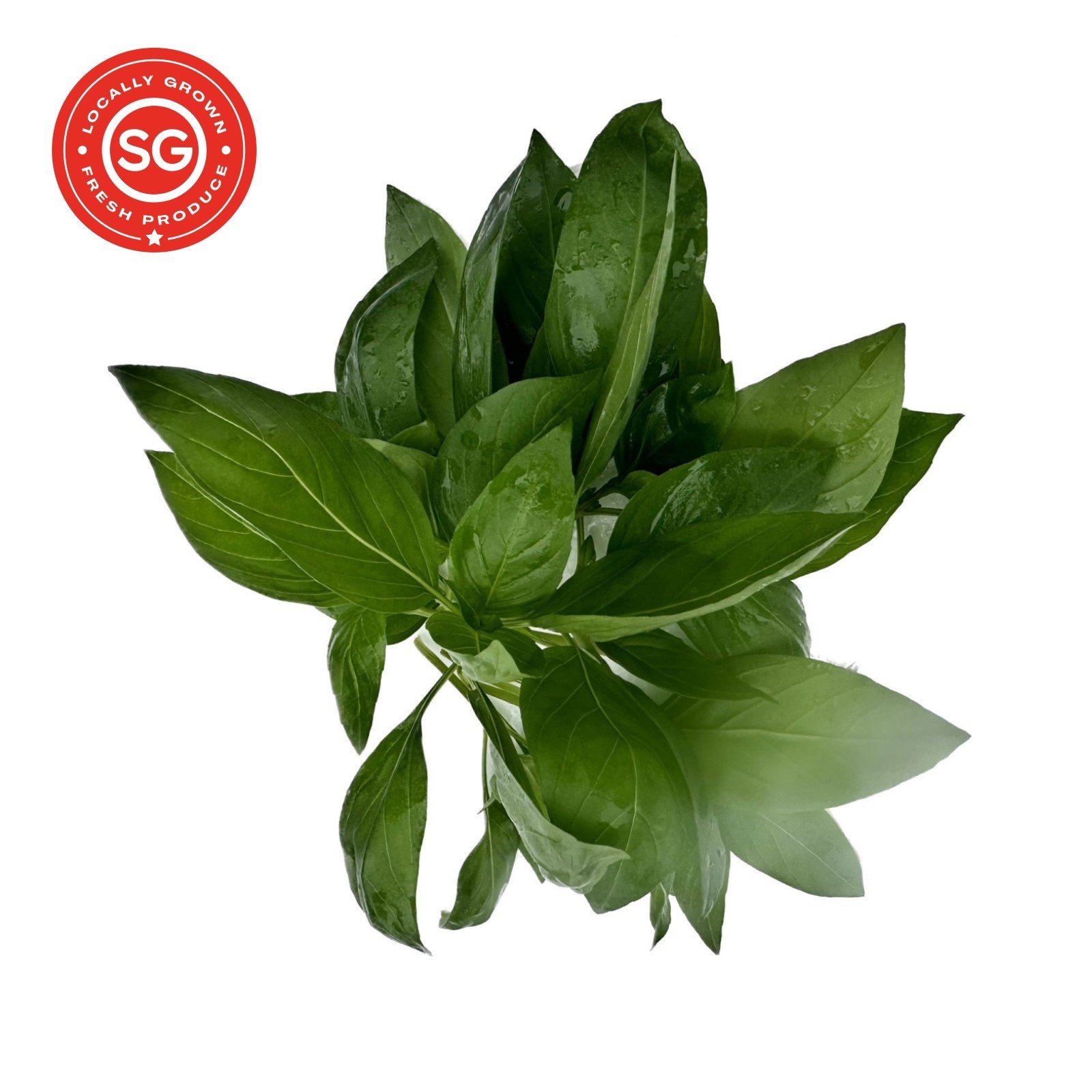 Thai Basil (50g)