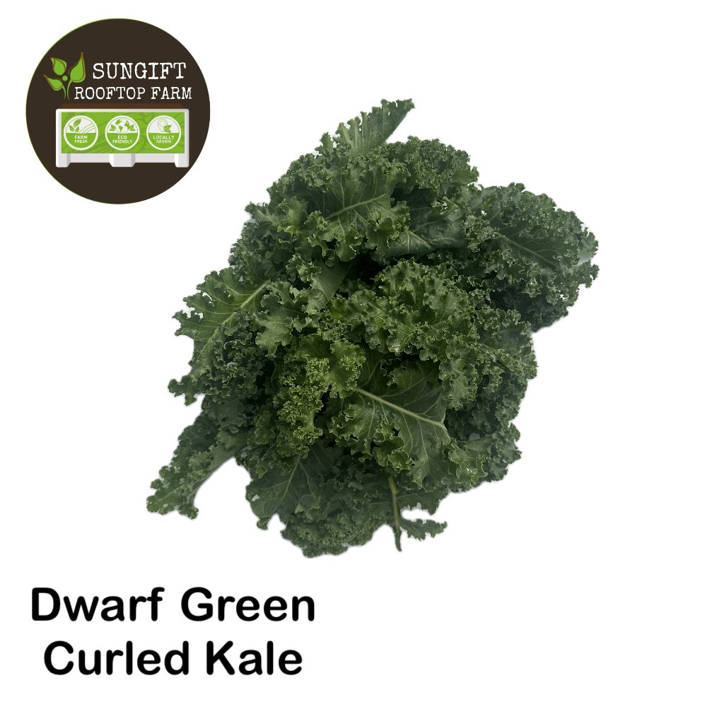 Dwarf Green Curled Kale(200g)