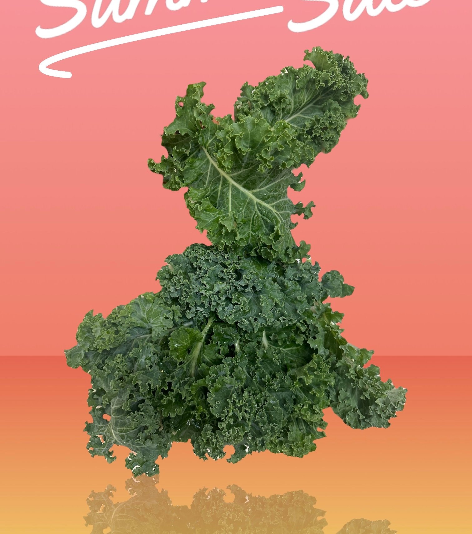 Dwarf Green Curled Kale(200g) - Image 2
