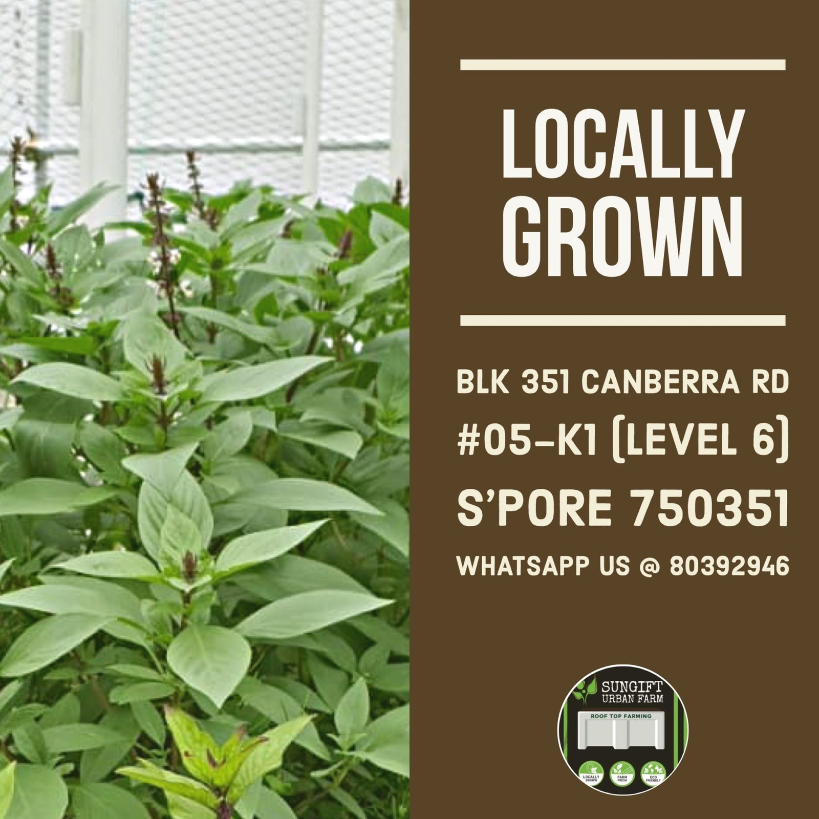 thaibasil